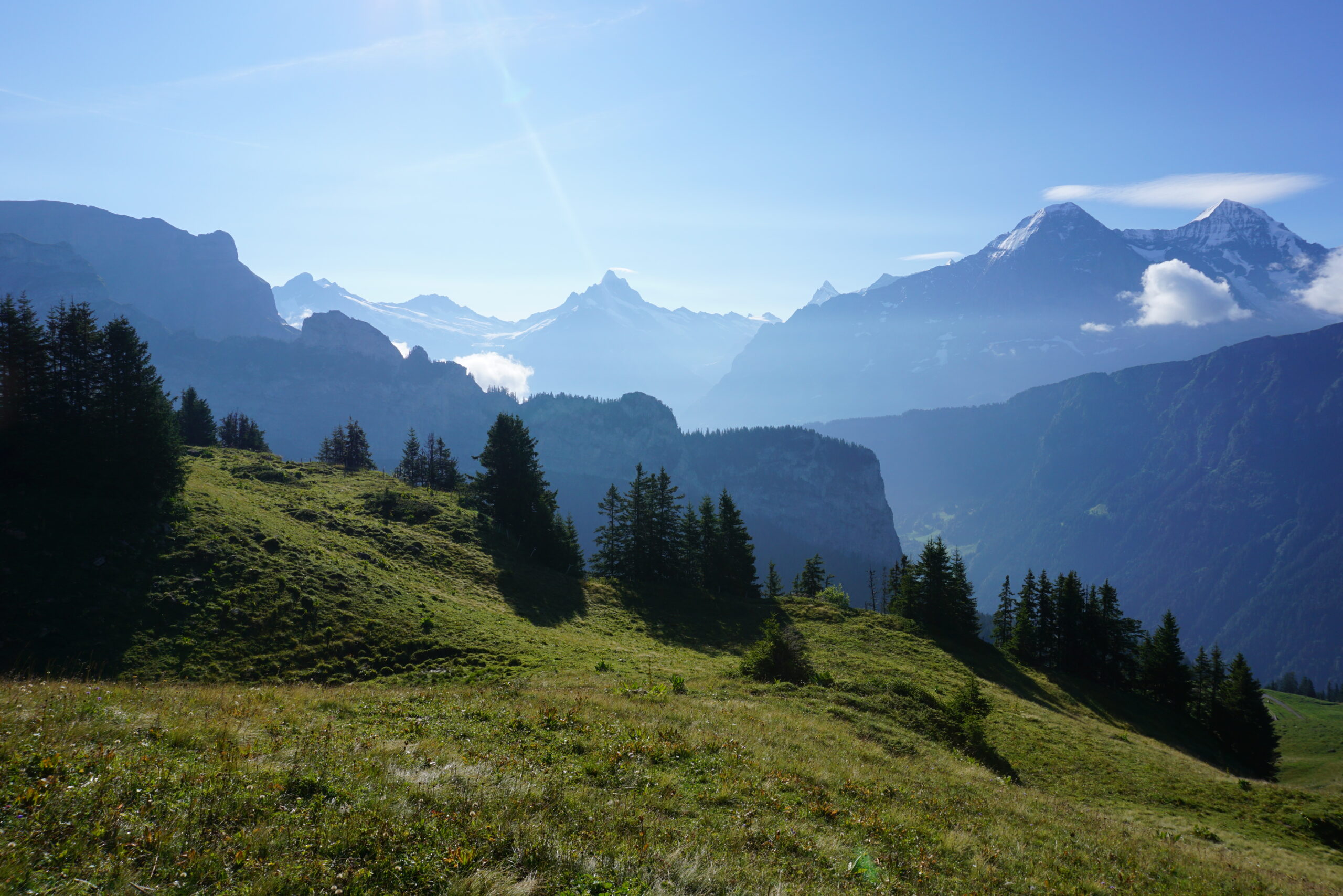Schynige Platte - First