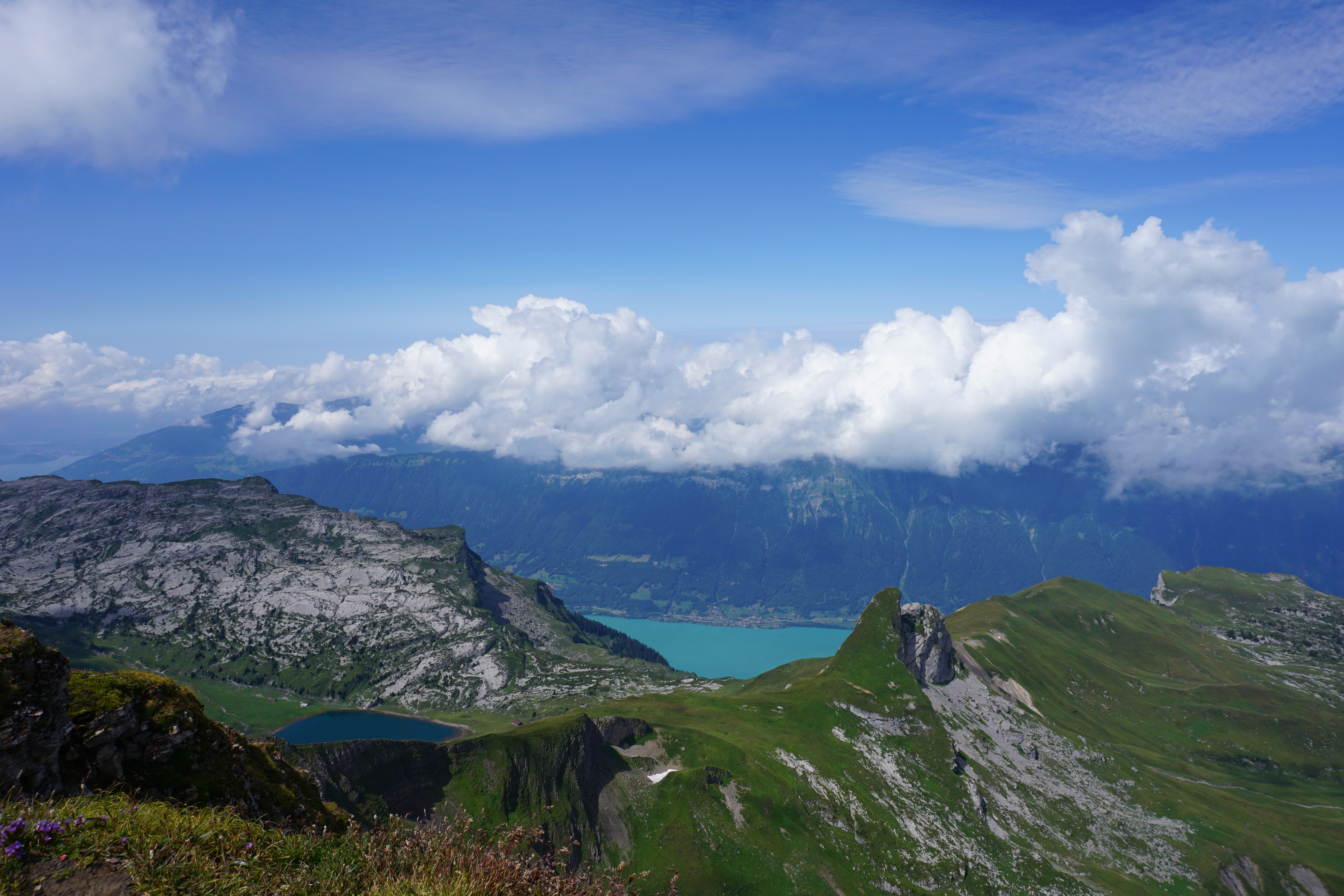 Schynige Platte - First
