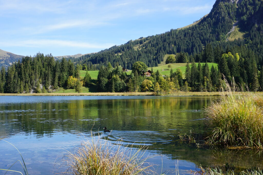 Lauenensee
