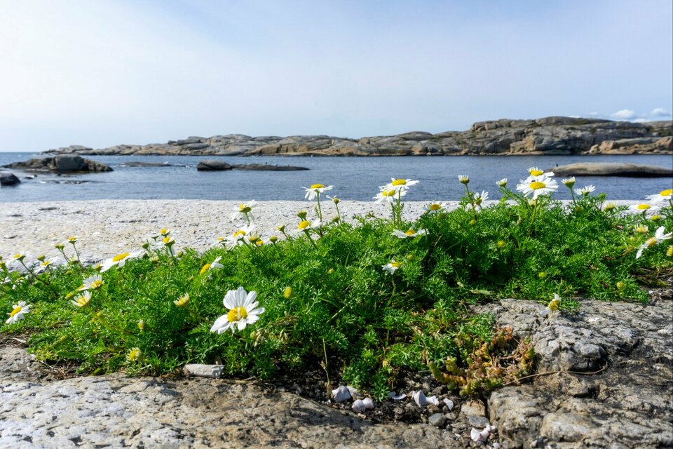 Ein Roadtrip durch Südnorwegen