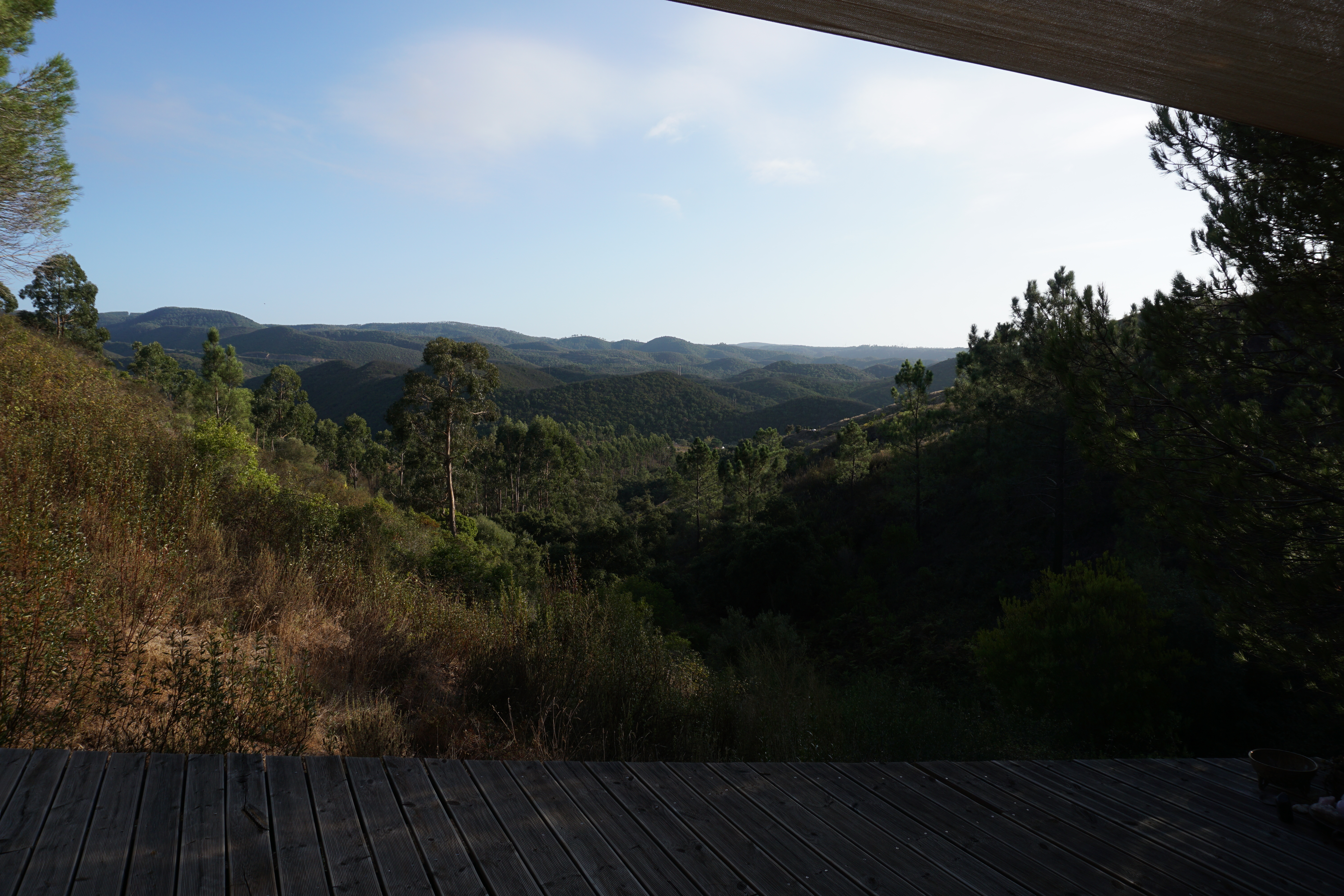 Aussicht Lemon Lodge